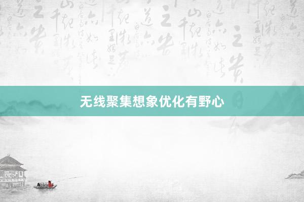 无线聚集想象优化有野心